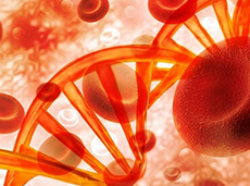 Colesterol alto causado por mutações do DNA está entre as doenças genéticas mais comuns